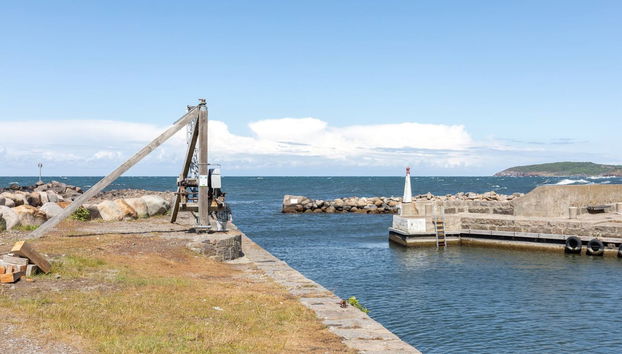 "Lahja" - 400m from the sea - Foto 3, Outdoor