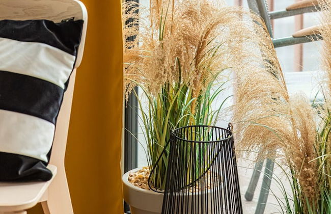 Sunny Coast Studio by Renters - Foto 29