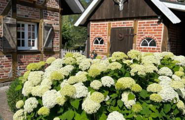 Haus am See Kamin privater Seezugang - Foto 18