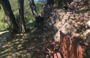 L'Olivier Fleurie Barjols - Foto 70