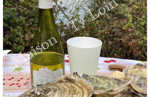 Villa Ty Loin vue mer 8 personnes - Foto 26