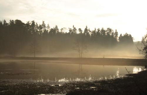 Ferienwohnung Rotes Haus - Foto 22