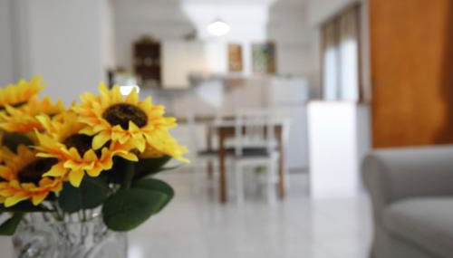 il giardino del mirto - Foto 1