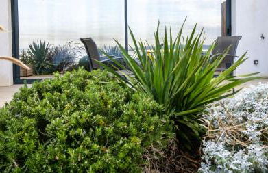 La Suite Soleil Romantique & Balnéo - Foto 13