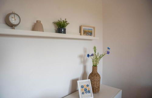 Kornblume - a64867 - Foto 6