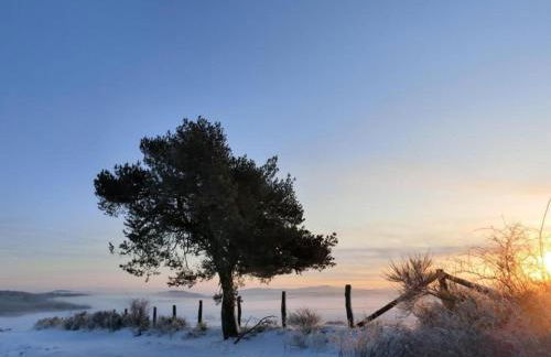 Gemütliche Ferienwohnung in Medebach - Foto 34