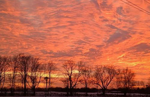 Oderbruchhütte - Photo 12