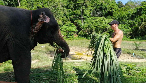 The Ao Nang Elephant Sanctuary