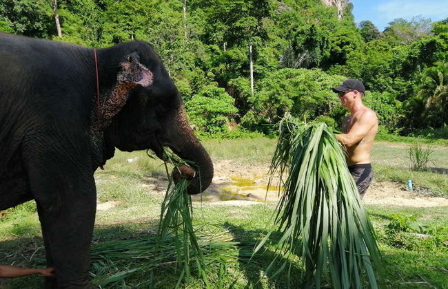 Escursione al santuario degli elefanti di Ao Nang - Foto 3