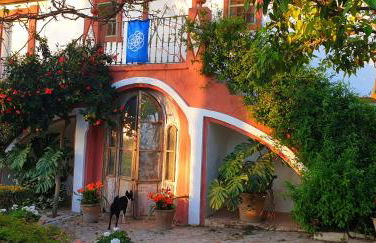 Cortijo El Triguero N-398 Ctra Carmona – El Viso del Alcor Km 18 - Foto 34