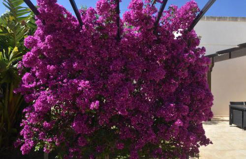 Masseria Giulio - Foto 27