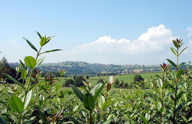 Nice Apartment in Piedmont - Foto 35