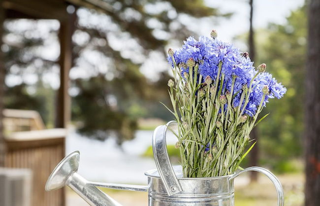 First Camp Gunnarso - Foto 22