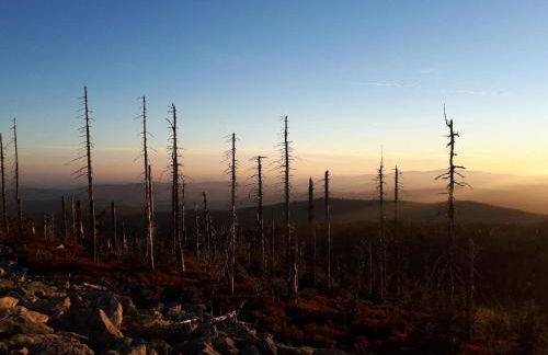 Ferienwohnung Sigi's Waldhaus - Foto 16