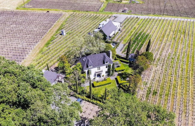 French Provencal Chateau in the Heart of Napa - Foto 5