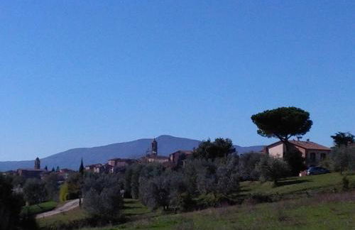 Il gelsomino del Perugino - Photo 63