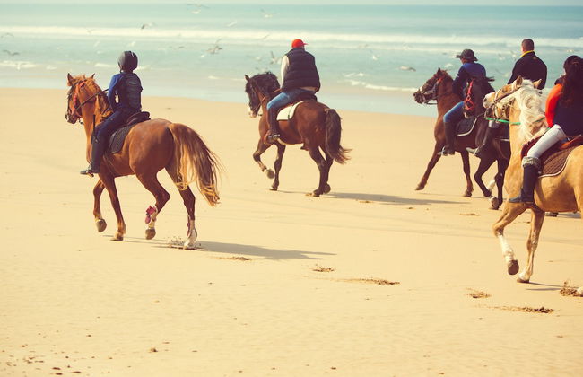 Mnar Castle Apartments - Photo 52