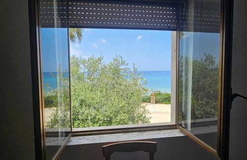 Da mia zia - Foto 37