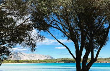 Vacanze a Villa Ortensia - Foto 73