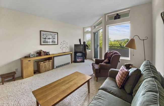 208 Village Gate Studio Bedroom Condo by RedAwning - Photo 1