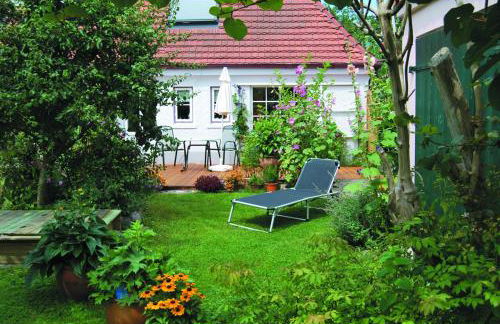 Rittersporn - Foto 14