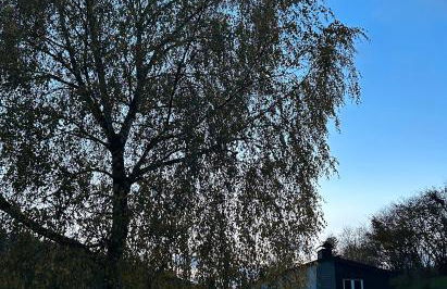 Ferienhaus Wiese - Photo 32