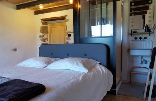 Maison de vigne rénovée à Langeac, nature et randonnées - FR-1-582-86 - Foto 22