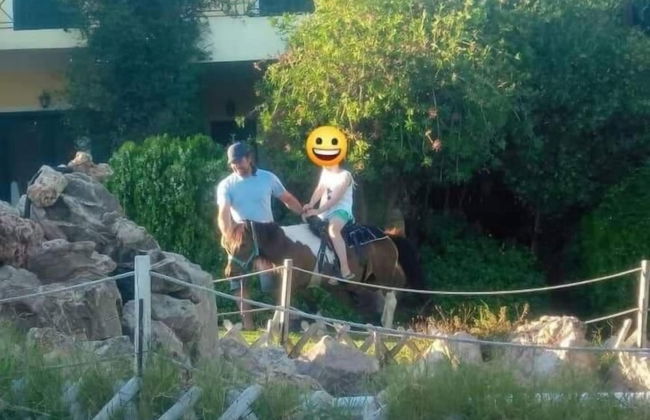 Ktima Nikola - Photo 39