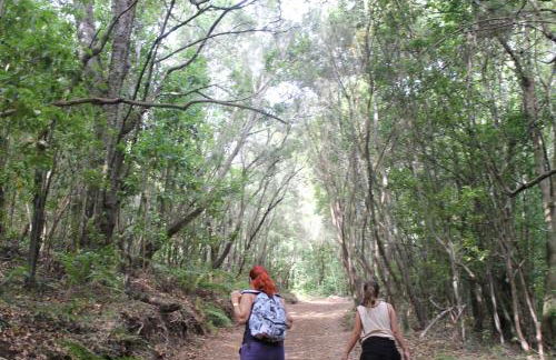 Casa Rural Las Rosas - Foto 35