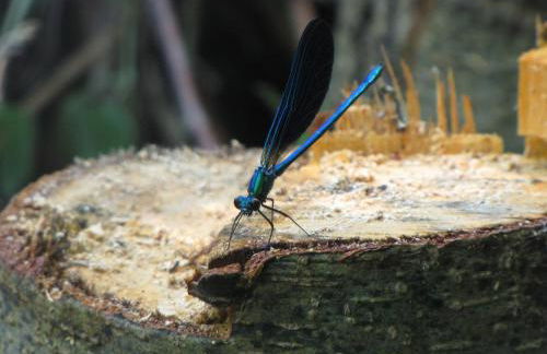 Etxeberri Landa Etxea - Foto 8