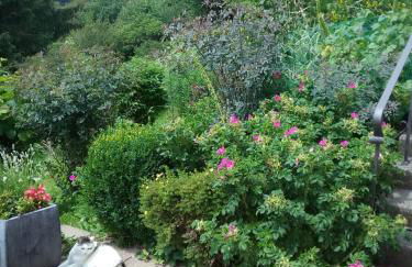 Perlenbachtal - Foto 1