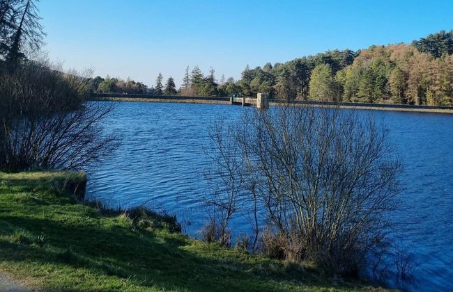 Cottage in the Dublin Mountain - Foto 15