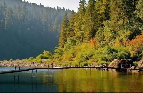 Pacific Seaside House by Pebble Beach & Redwoods - Foto 38