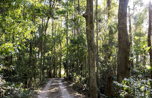 Rosewood Estate - Foto 32