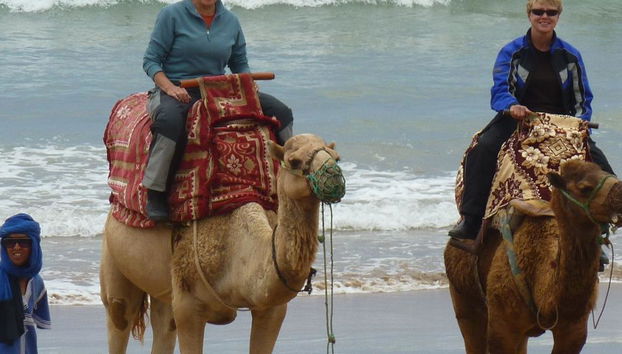 Esperienza a dorso di cammello con cena barbecue - Foto 3