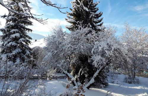 Appartements Margit - Photo 45