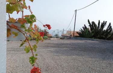 Vivaldi Summer - Foto 40