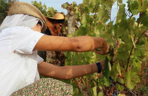 Aparthotel Quinta do Crestelo - Foto 68