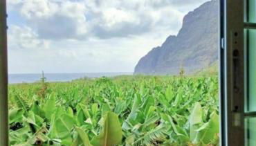 Casa La Tosca-Entorno mágico - Foto 2