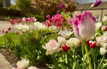 The Cart House at Snape Castle Mews - Foto 4