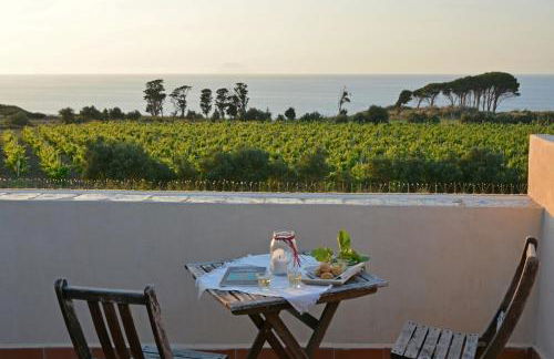 Tenuta Rasocolmo - Foto 10