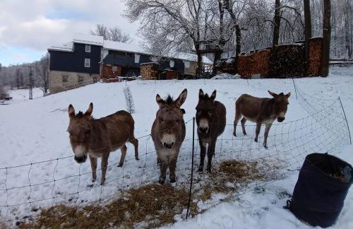 Zum Alten Eselstall - Foto 13