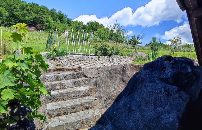 Vineyard cottage Kralj - Foto 21