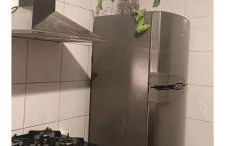 Apartamento - Foto 14