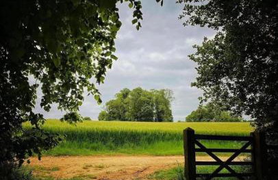 Bell Ringers Cottage - Foto 23