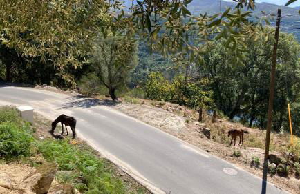 Casa ponto Da Cruz t3 - Foto 35