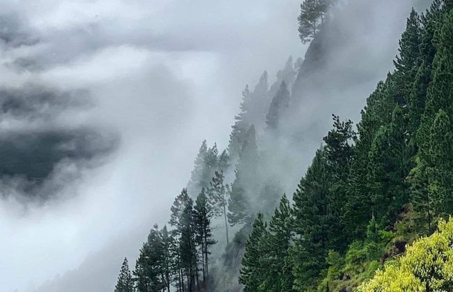 Mount view family rest & cottage - Photo 1