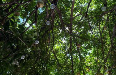 appartamento in villa a Pietragrande Villa Mi Vida - Photo 51