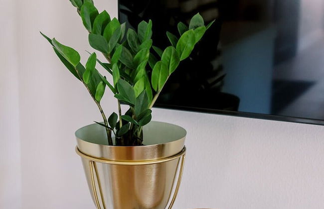 Cation on the Guadalupe - Foto 74