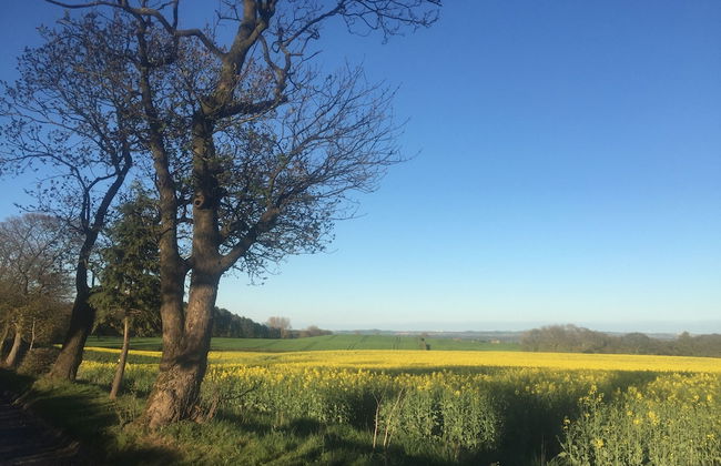 1 Twizell Lane - Foto 47